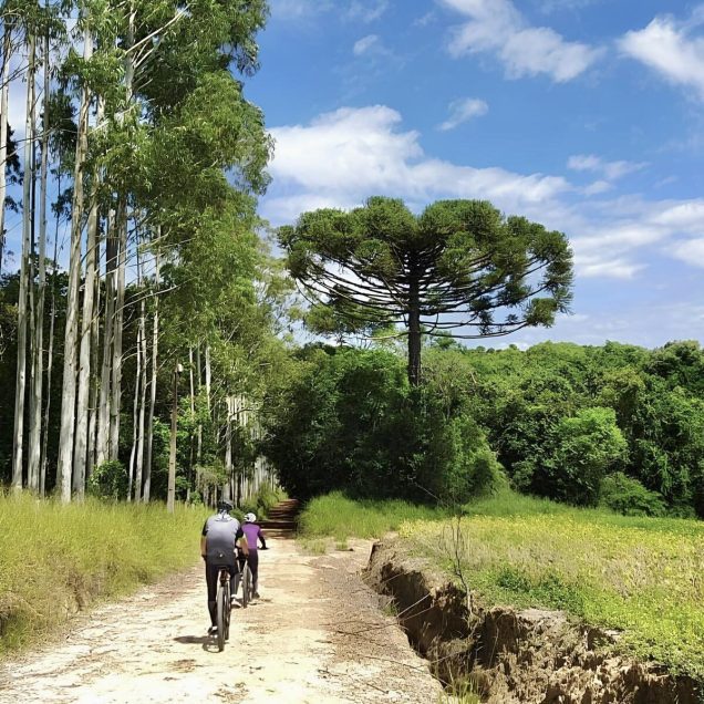 Cânion Guartelá